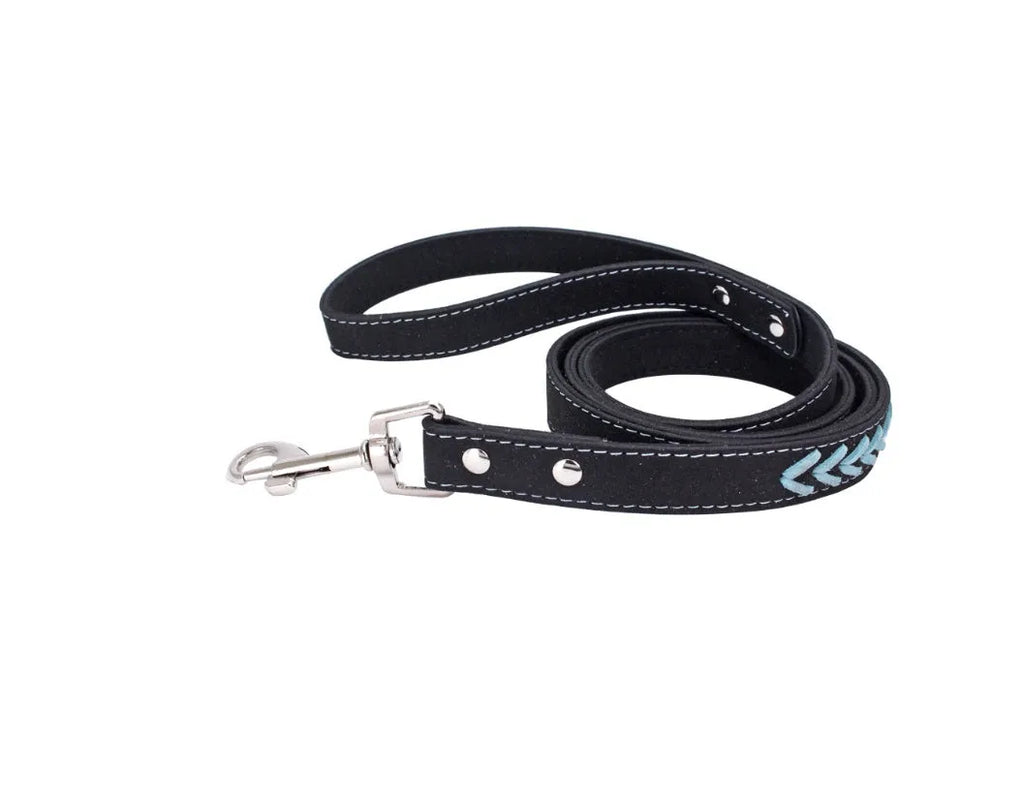 Stainless steel iron dog collar with laser lettering on genuine leather strap, available in blue, pink, purple, red and yellow