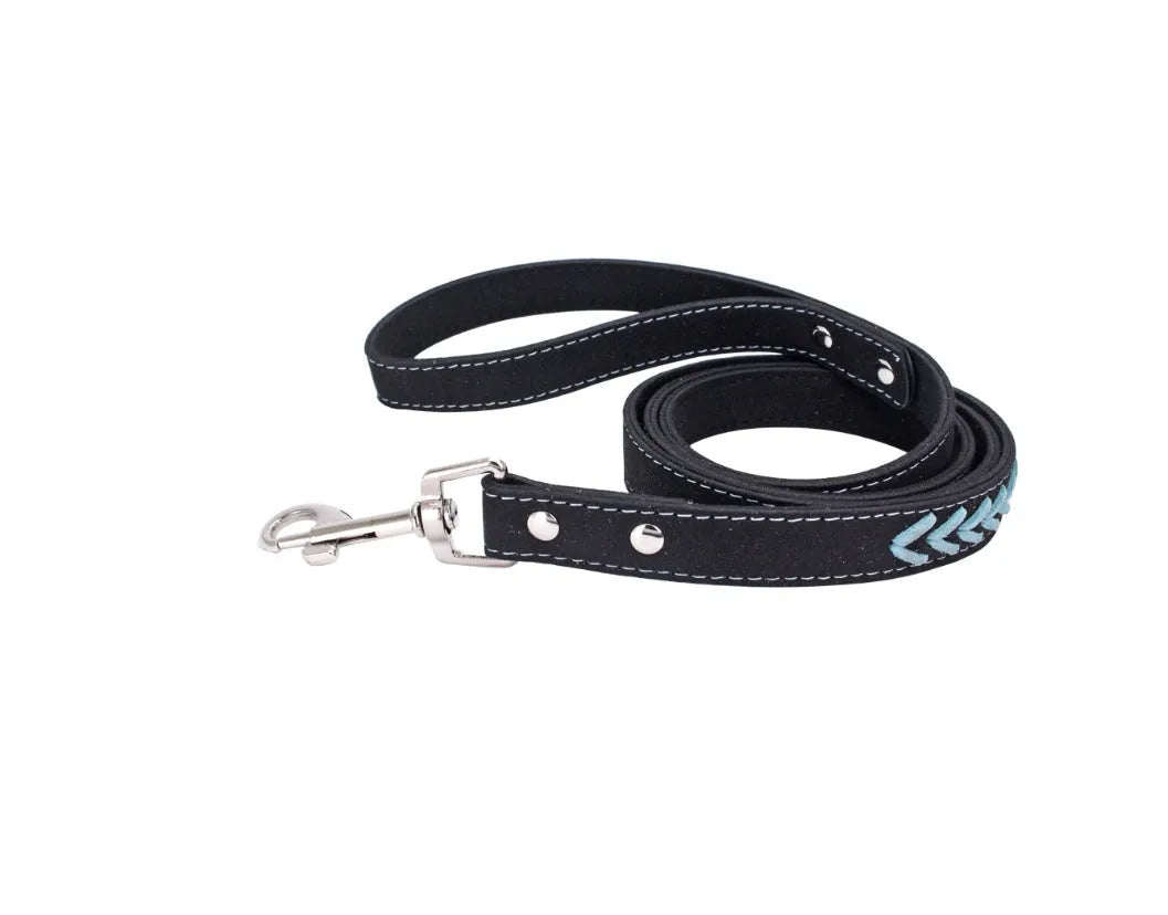 Stainless steel iron dog collar with laser lettering on genuine leather strap, available in blue, pink, purple, red and yellow