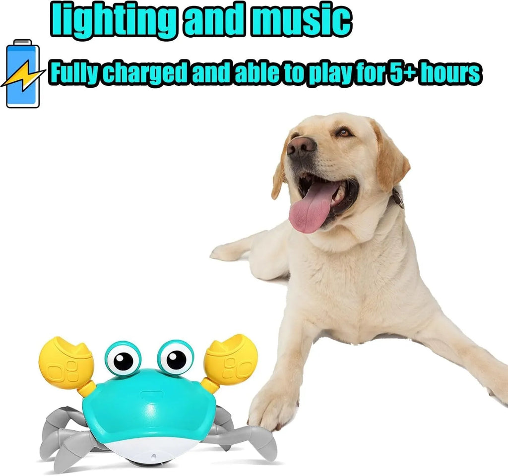 Blue and red electronic crawling crab dog toy with lights on a floor.