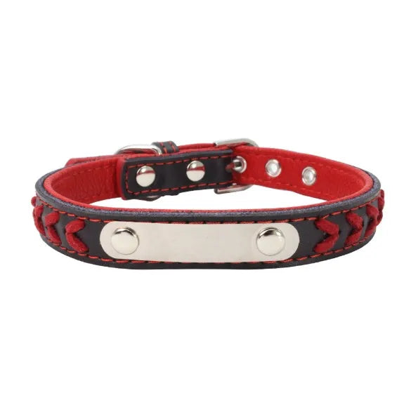 Stainless steel iron dog collar with laser lettering on genuine leather strap, available in blue, pink, purple, red and yellow