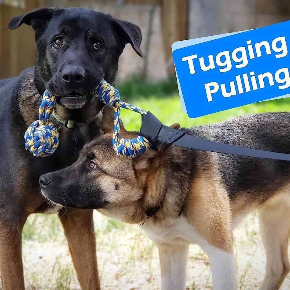 Green cotton rope dog toy with corncob design for tug of war and biting.