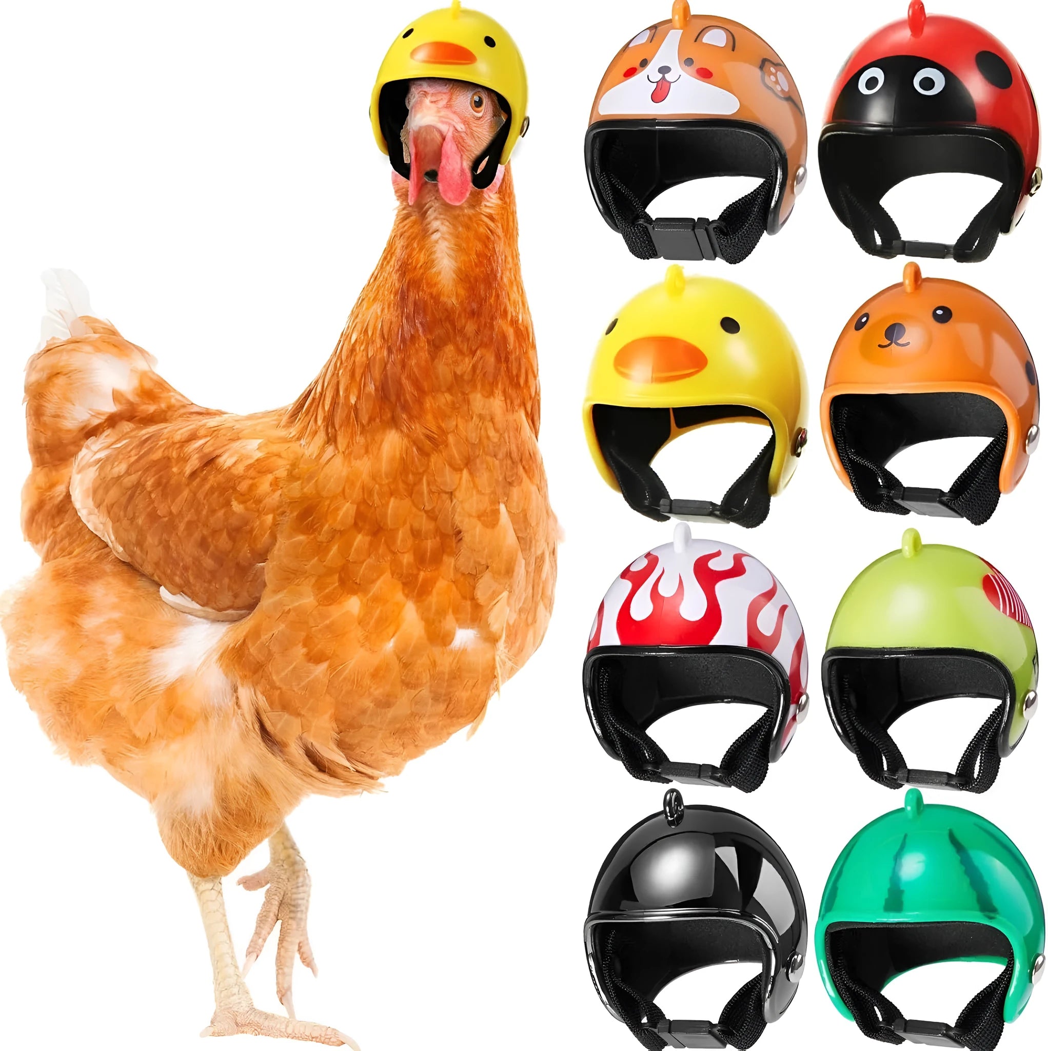 Adjustable pet safety helmet for small chickens and birds with elastic bands