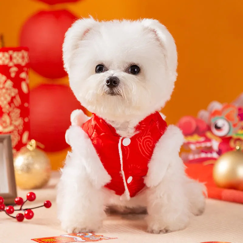 Red lion dance Tang suit pet vest with 3D lion head, tassel, and golden knot buttons for small dogs and cats.