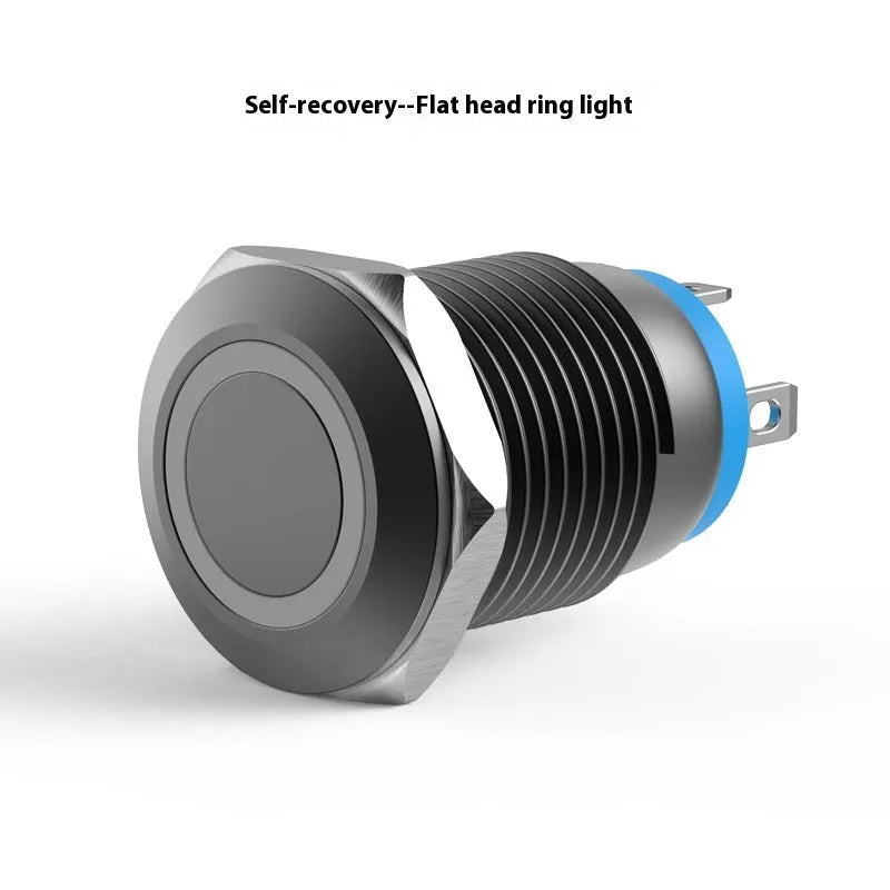 12mm metal self-reset waterproof button switch with light, silver contacts, flat head model