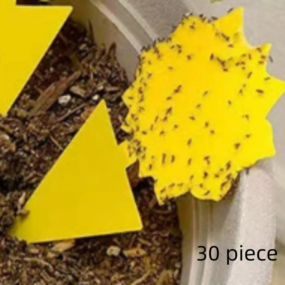 Yellow PP sticky insect trap for garden pest control catching aphids and whitefly