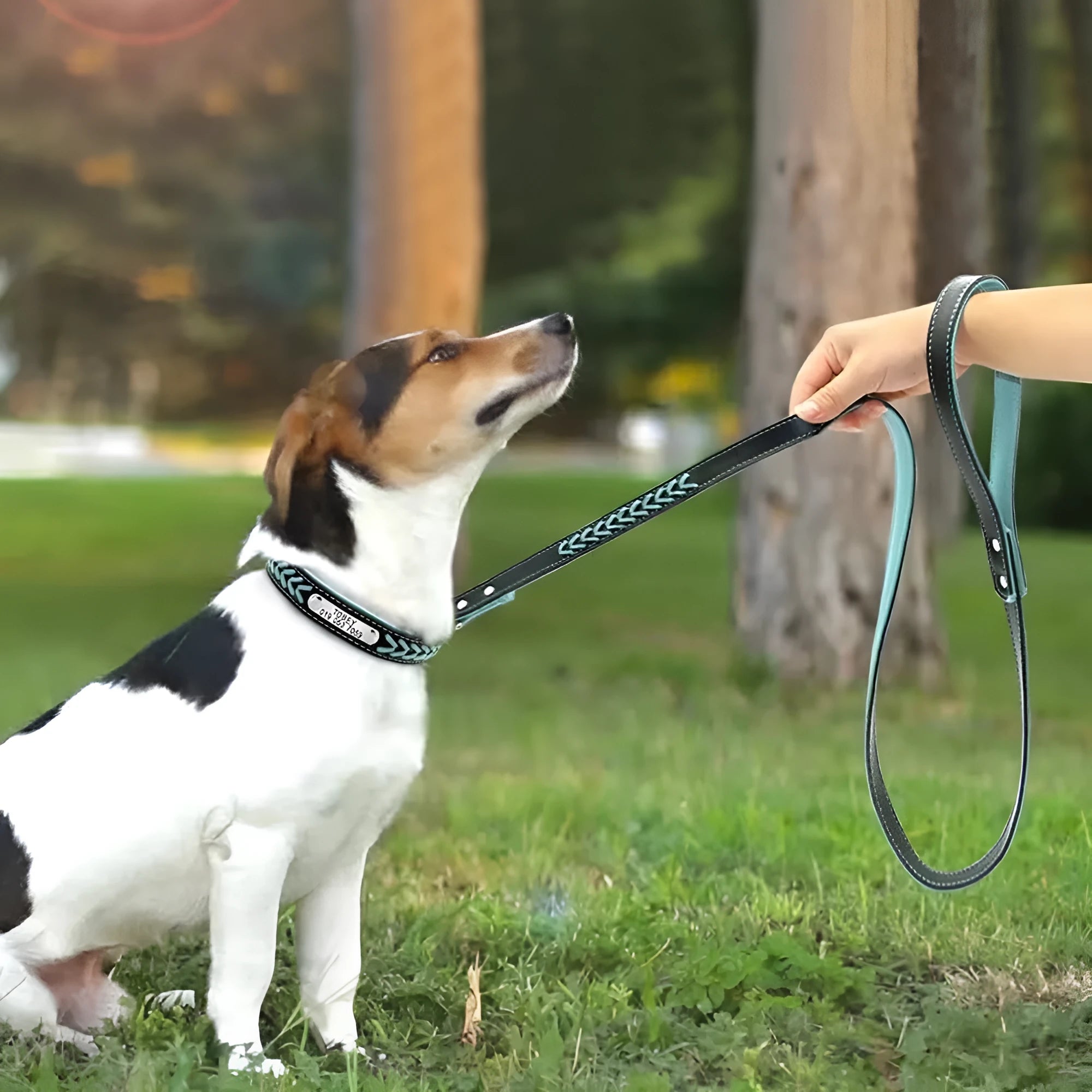 Engraved leather anti-lost dog tag for puppies in blue pink red with fast release