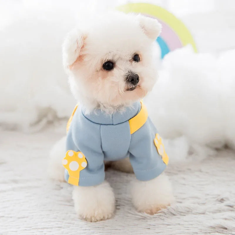 Blue cartoon backpack pet clothes milk silk sweater on small dog in side view