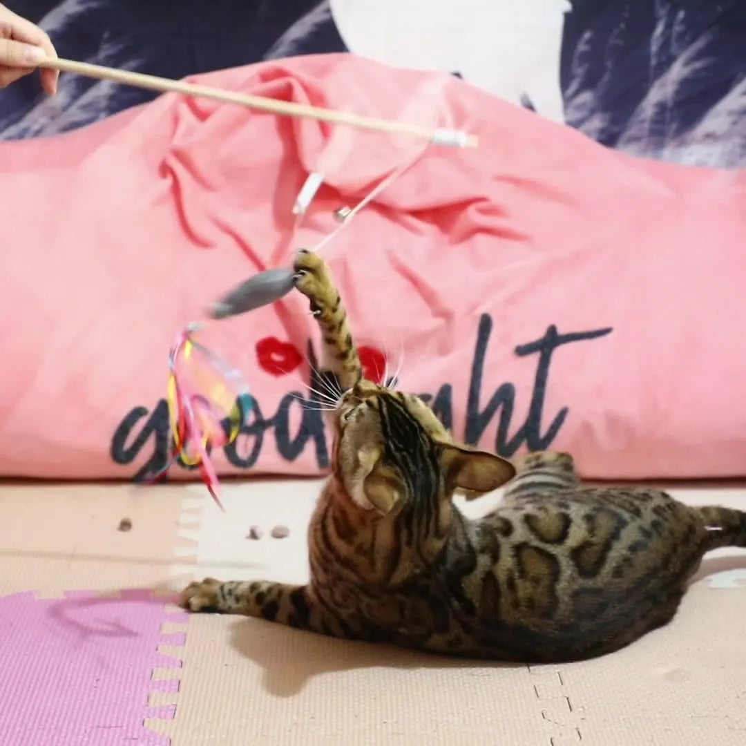 Cat wand toy with wooden handle, colourful ribbons, catnip fish attachment, and bell for interactive play