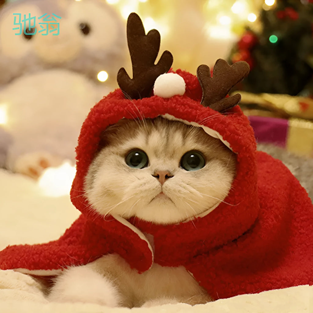 Red polar fleece pet cloak with attached antlers on a small dog, showing the full festive costume.