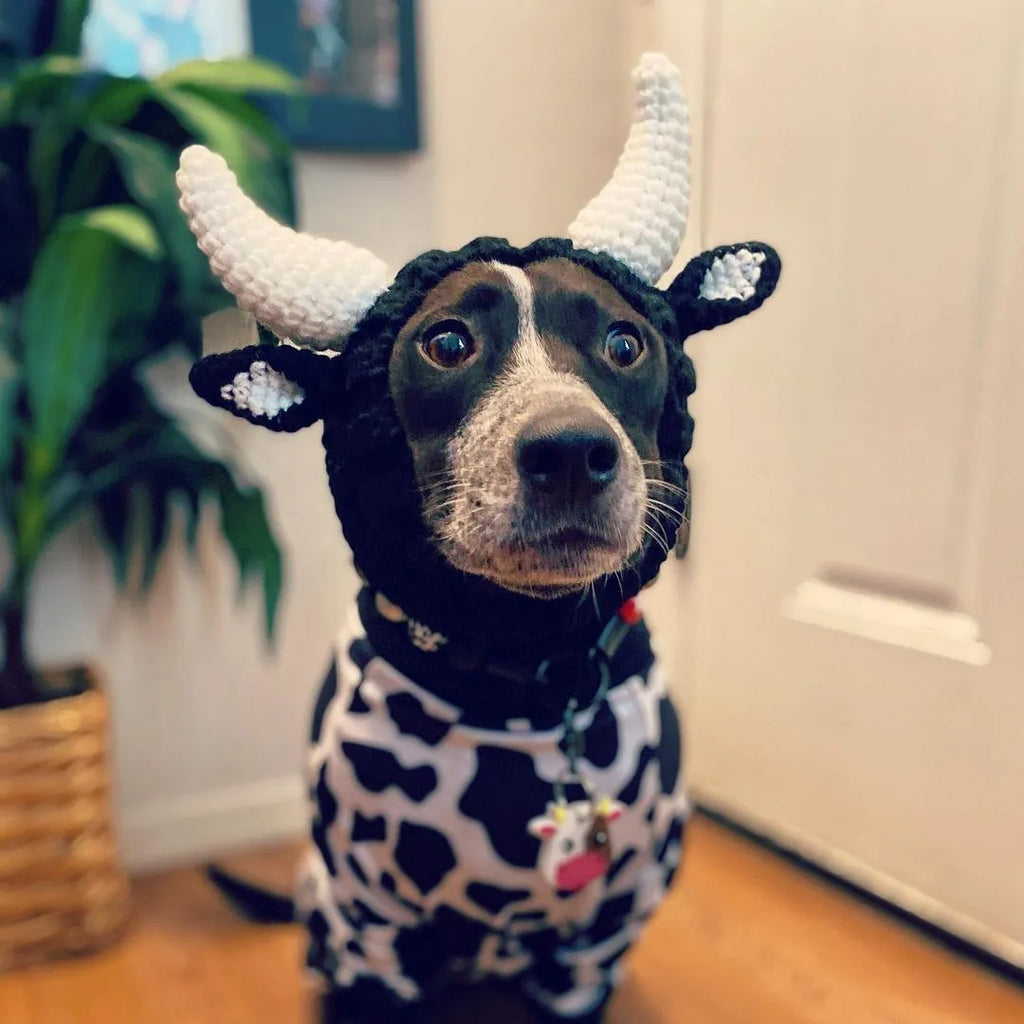 Black Cow thermal windproof knitted dog hat with Jacquard pattern for pets