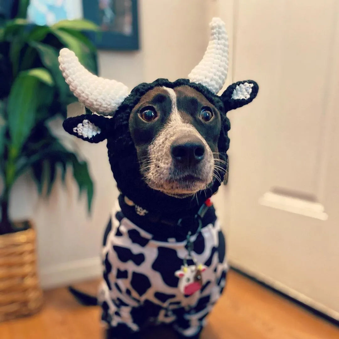 Black Cow thermal windproof knitted dog hat with Jacquard pattern for pets
