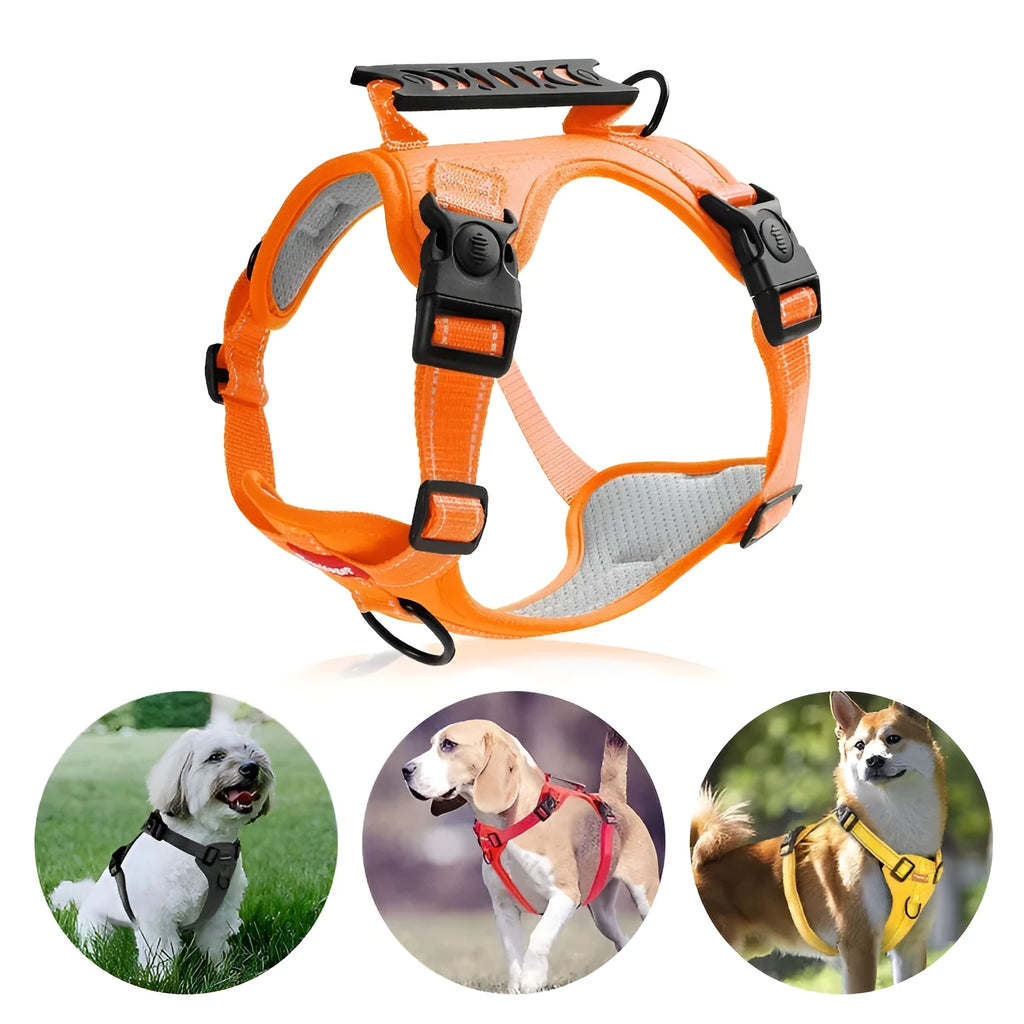 Adjustable polyester dog harness and lead set in multiple colours, shown on a dog, with front-chest attachment ring.