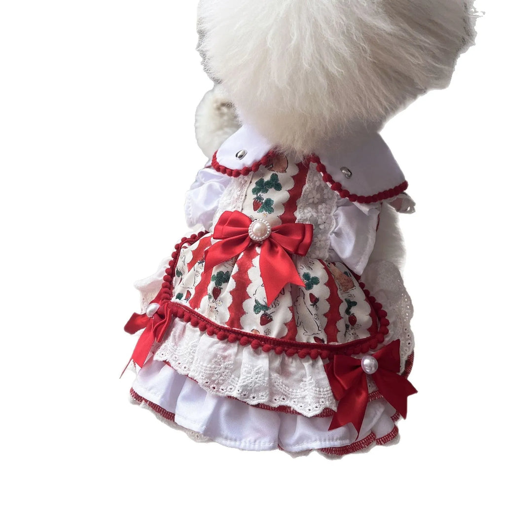 A small white dog wearing a blue and white rabbit print skirt, showcasing the princess-style pet clothing.