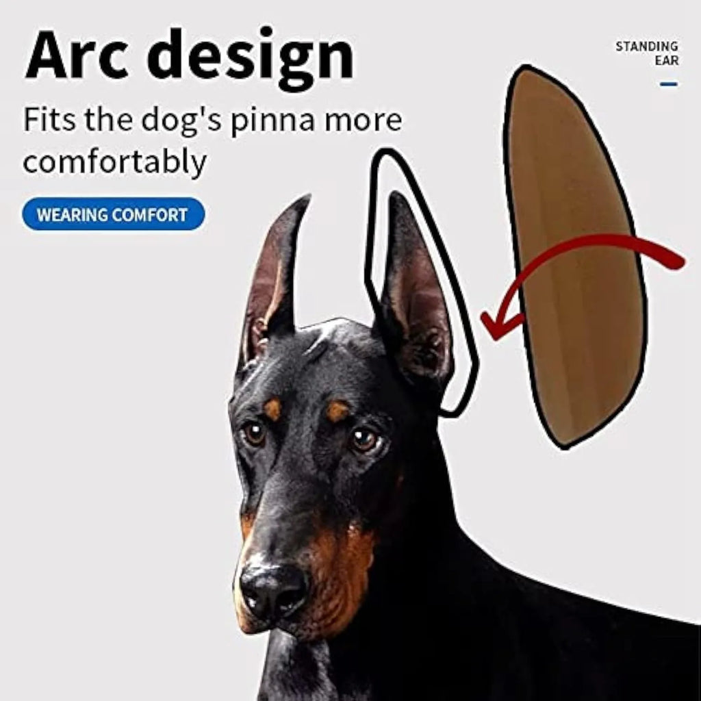 Dog ear stand up support sticker on Doberman puppy ear with adjustable fit