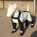 Black waterproof dog shoes with adjustable straps and non-slip soles in various sizes