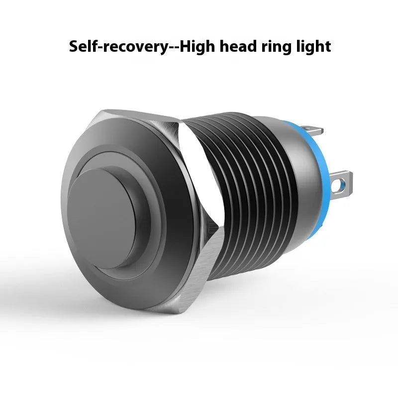 12mm metal self-reset waterproof button switch with light, silver contacts, flat head model