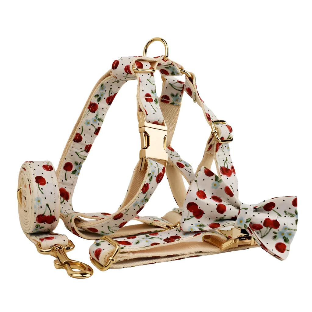 Red cherry printed dog collar and leash set with light gold buckle and bow on cloth material