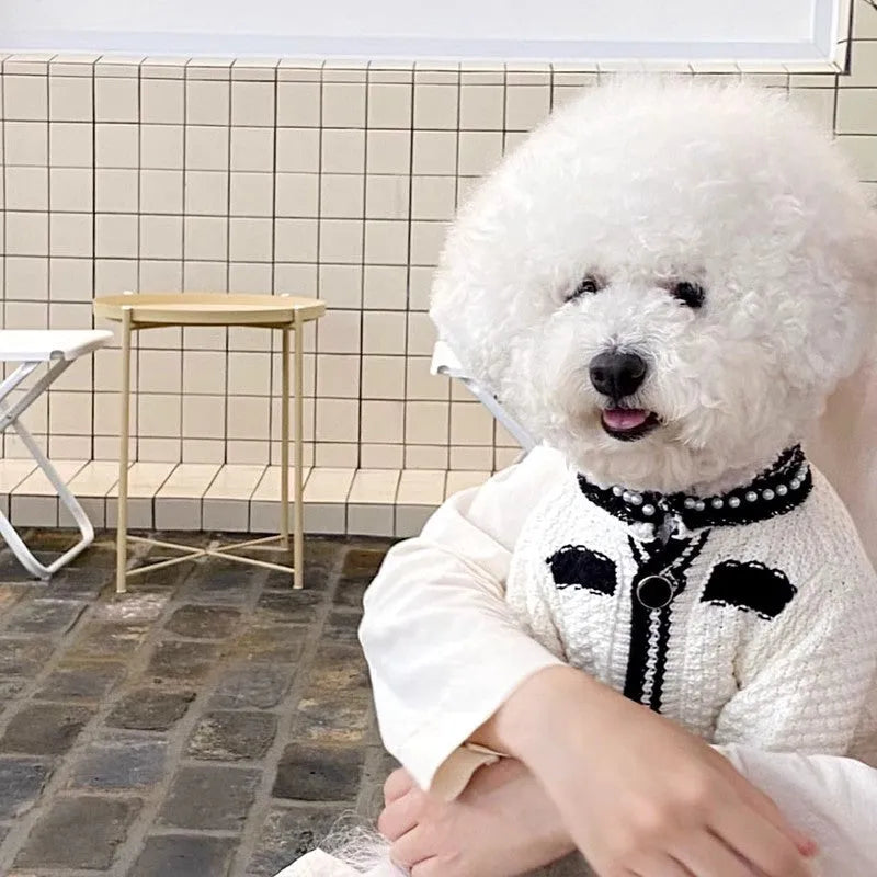 Korean style white puppy sweater with pearl collar on small dog, showing princess style design
