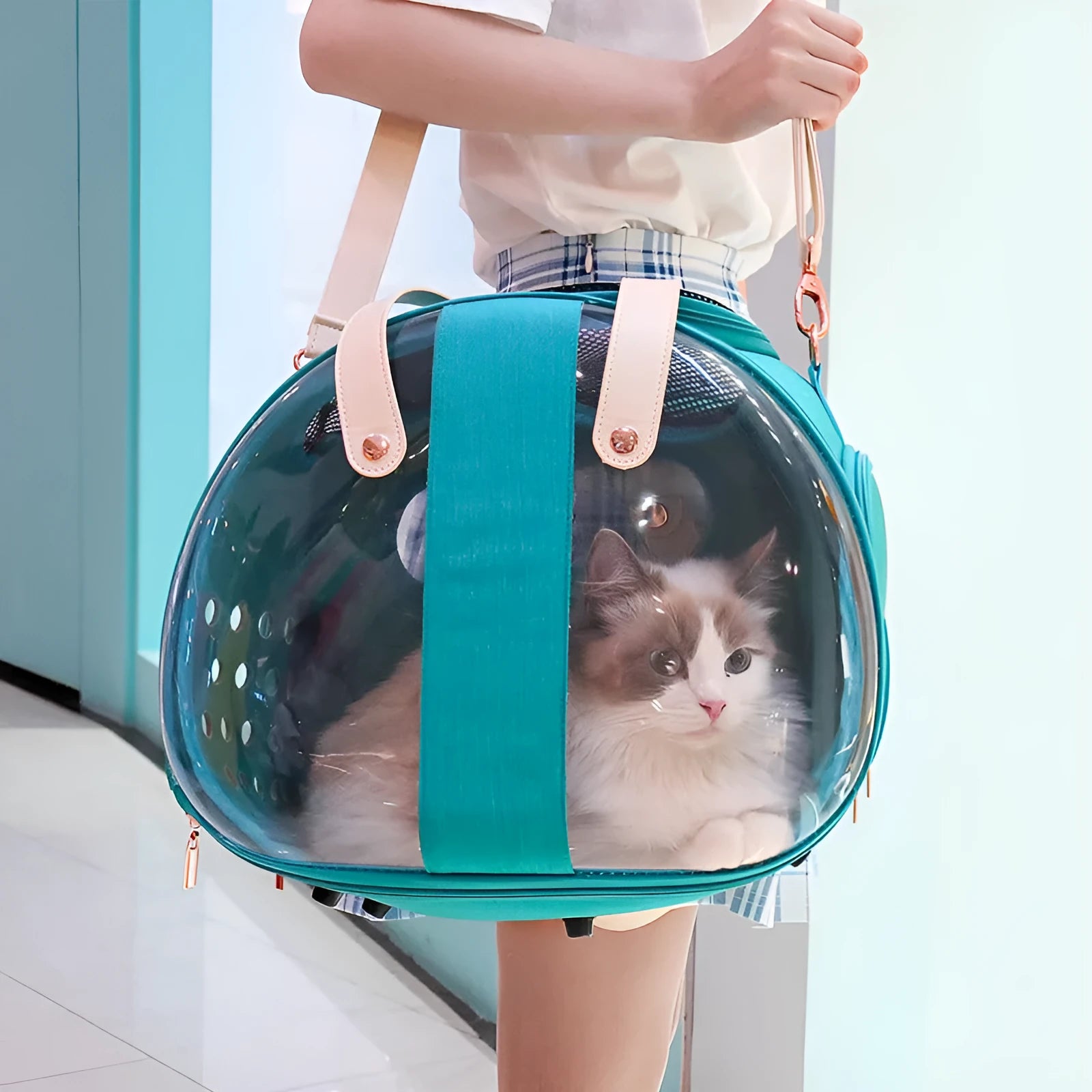 Double Fish transparent PVC pet backpack carrier for small dogs and cats with locking mechanism and ventilation holes, sky blue colour