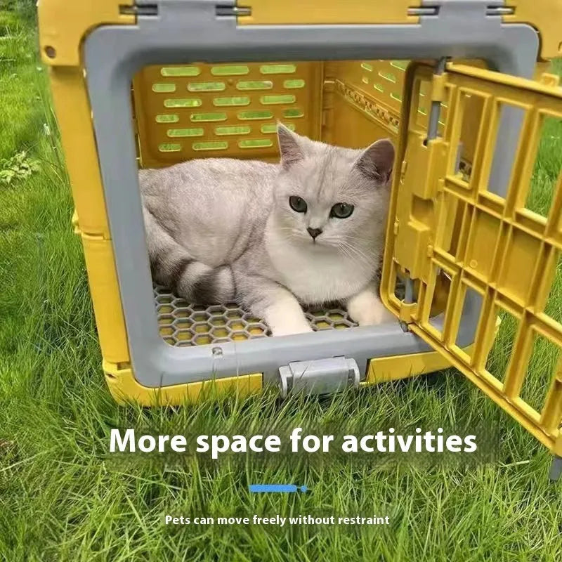 Foldable PP pet flight case in Far Peak Blue or Van Gogh Gold, 48x30x32cm or 56x33x37cm
