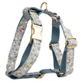Blue floral pattern dog collar with matching leash and vest set for small to medium dogs