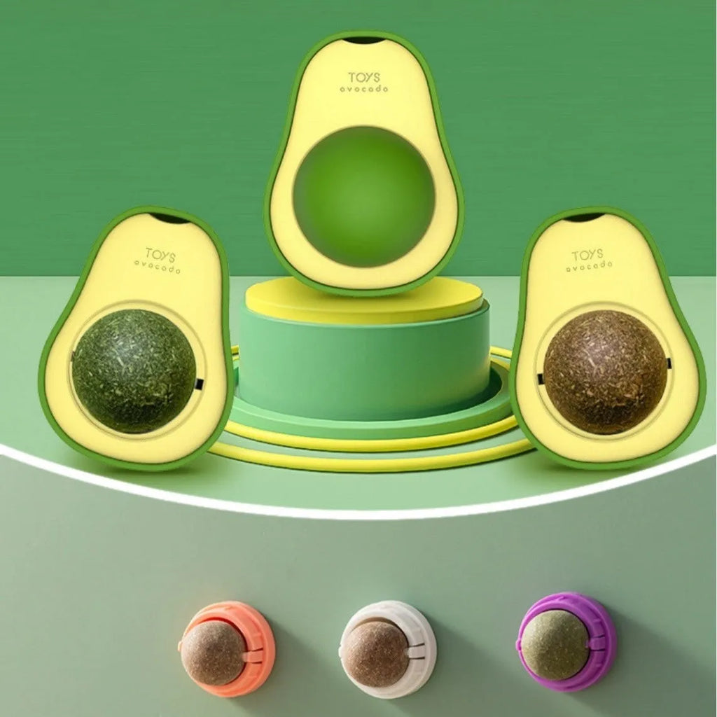 Colourful plastic catnip ball toy for molar teeth cleaning and bite-resistant play.