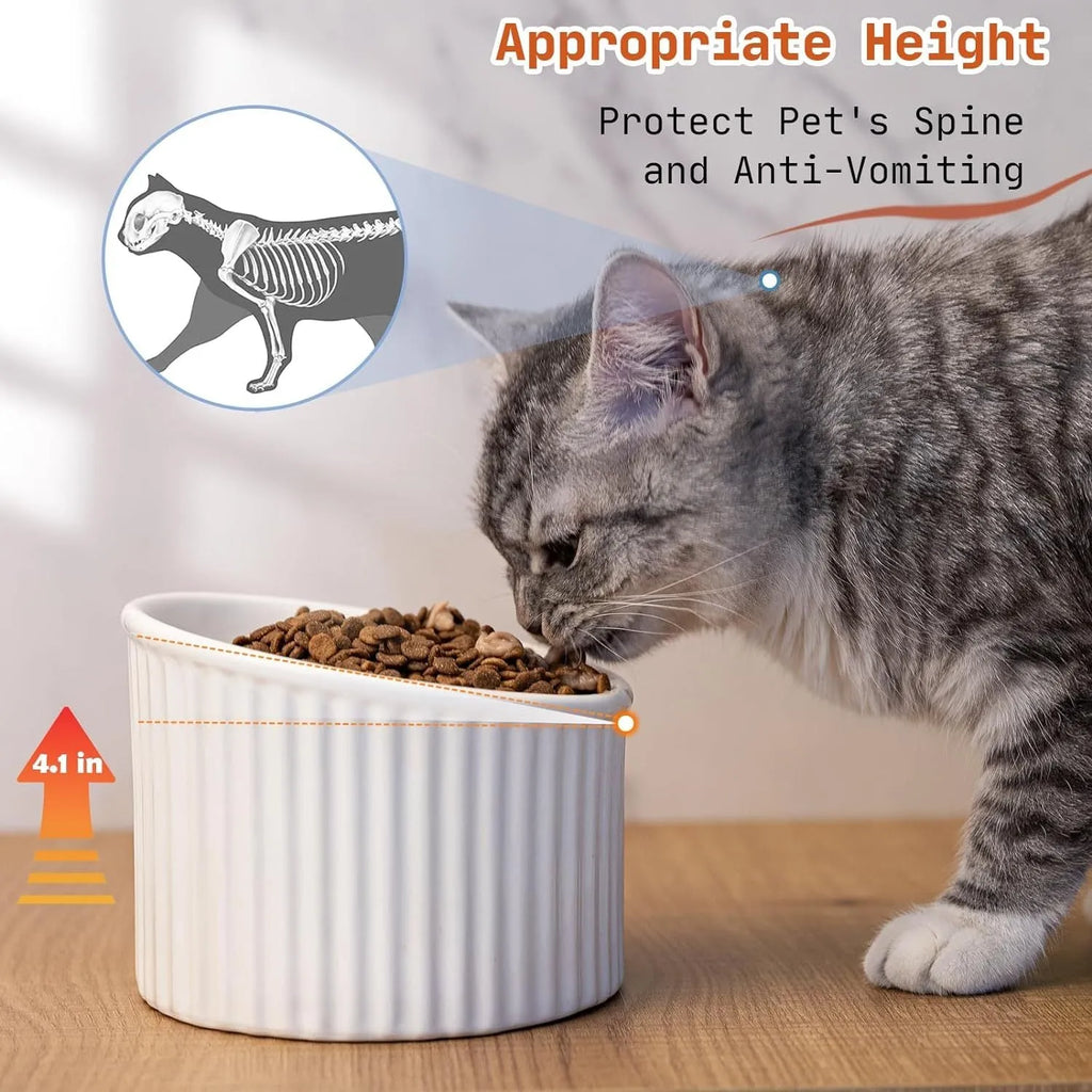 Elevated ceramic cat bowl in green colour showing raised design for feeding