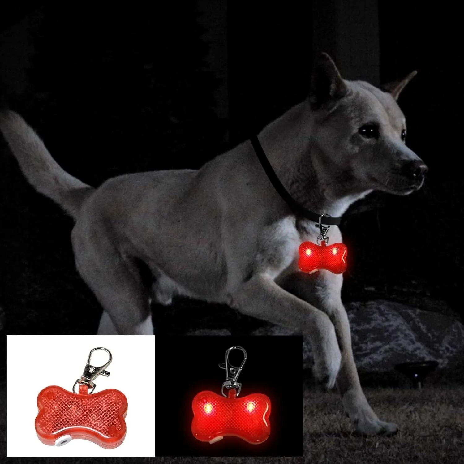 Blue bone-shaped LED glow pendant attached to a dog collar, showing flashing light.
