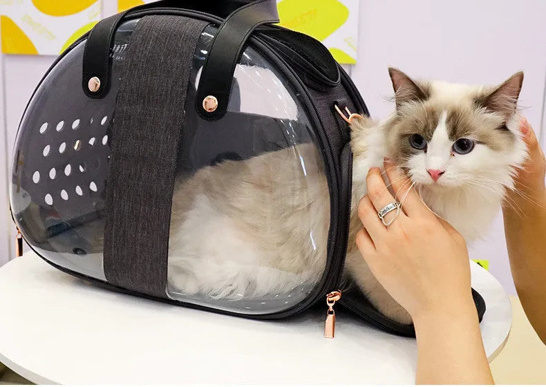 Double Fish transparent PVC pet backpack carrier for small dogs and cats with locking mechanism and ventilation holes, sky blue colour