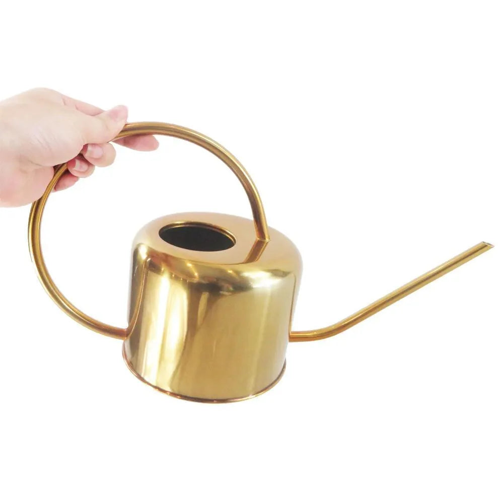 Stainless steel watering can with long spout, shown in 2-litre capacity for garden use.