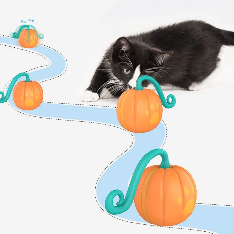 Electric luminous cat toy ball in watermelon green and pink or pumpkin orange and black colour designs