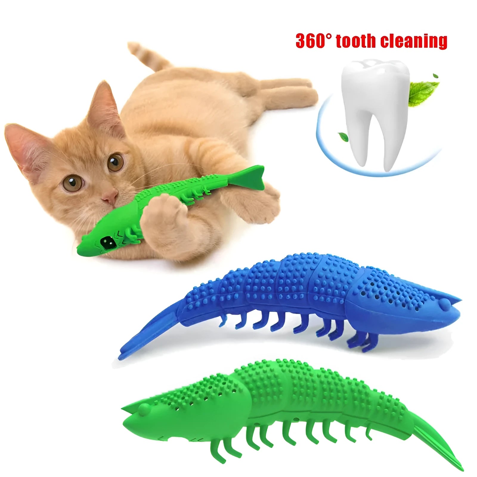 Blue hard rubber cat toy with textured surface for teeth cleaning, containing catnip and a bell.