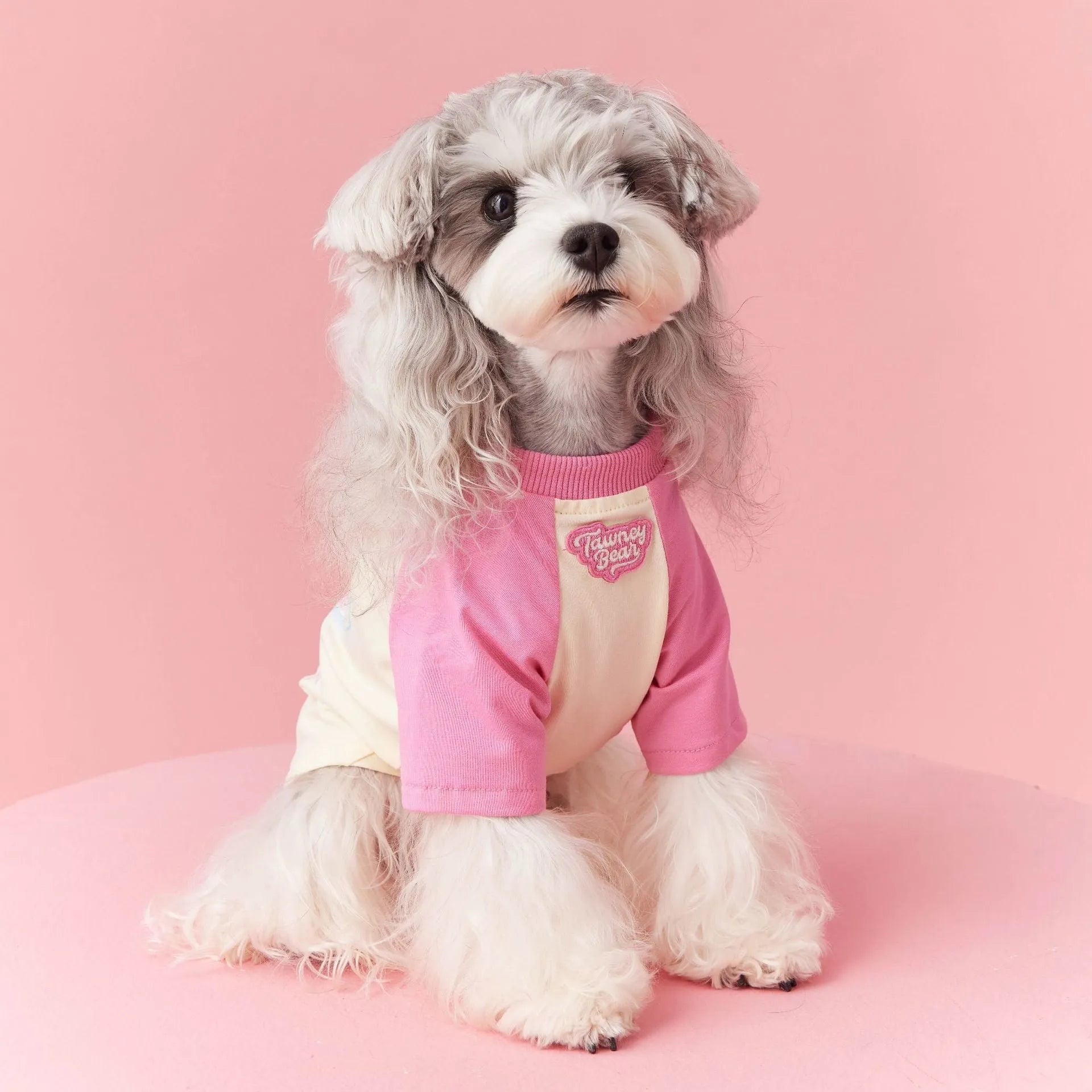 Red embroidered cotton dog clothing for summer in size medium on mannequin