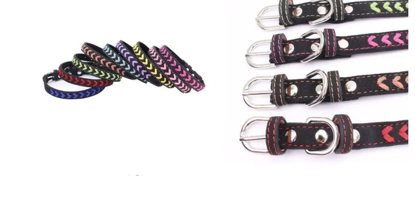 Stainless steel iron dog collar with laser lettering on genuine leather strap, available in blue, pink, purple, red and yellow