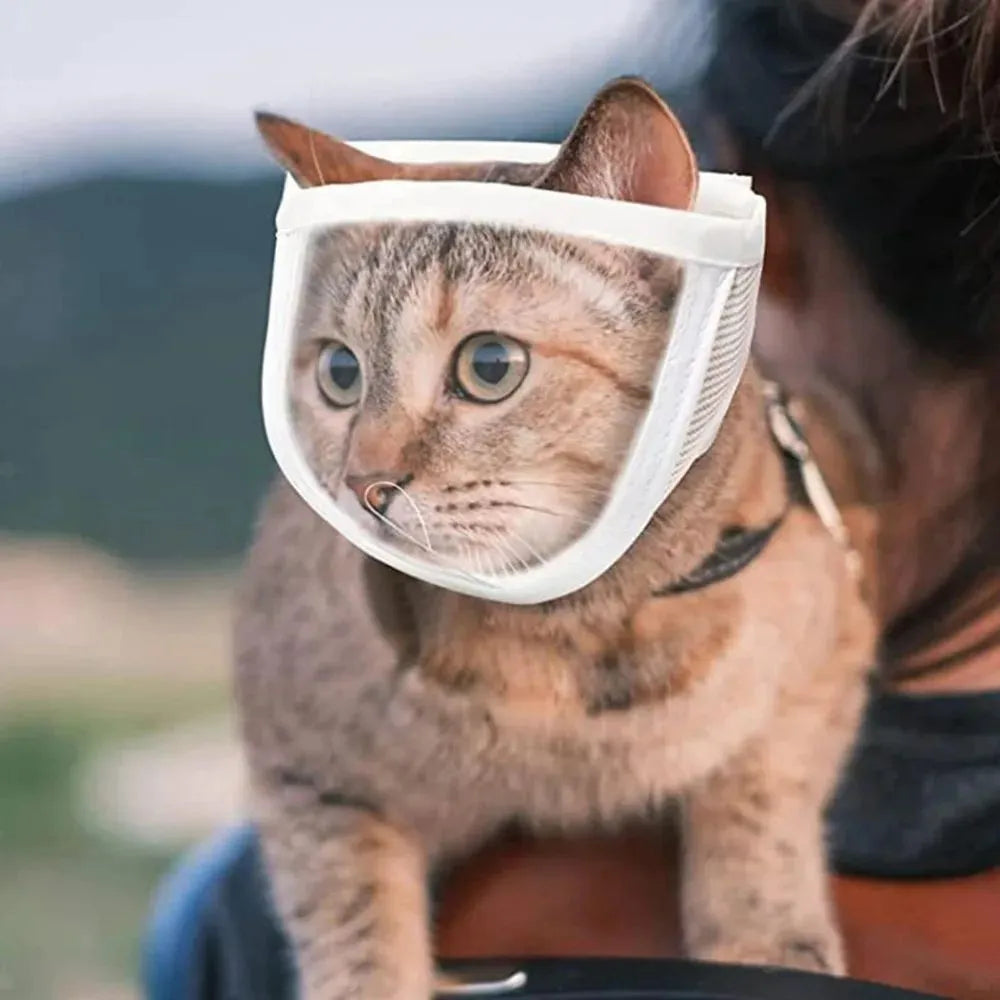 Clear cotton and PVC cat muzzle for anti bite grooming with adjustable strap