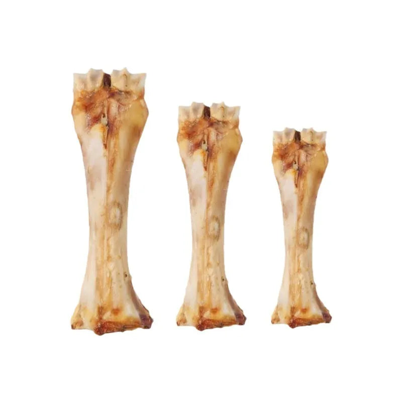 Large roasted ox bone molar chew stick for teething puppies on a plain background.
