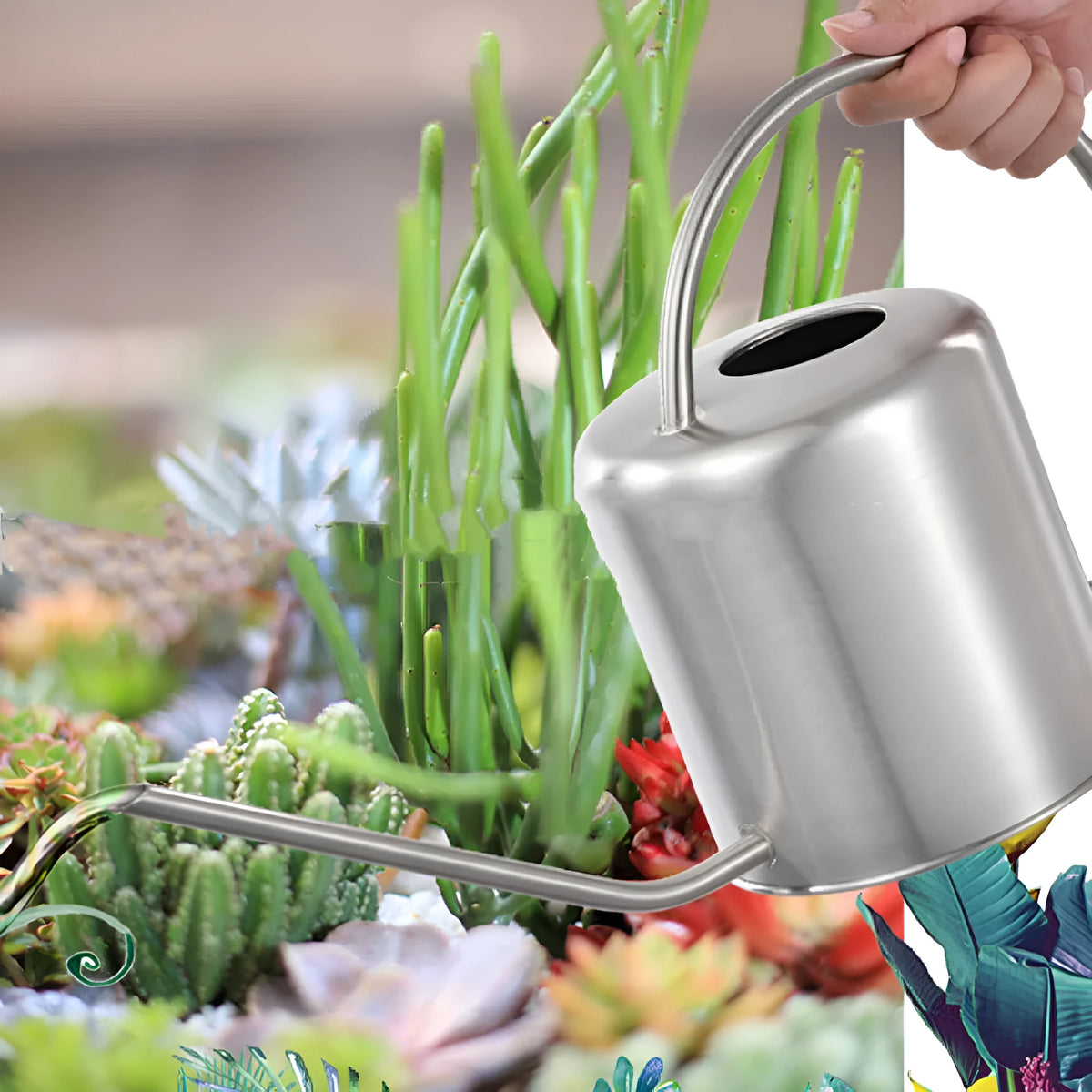 Stainless steel watering can with long spout, shown in 2-litre capacity for garden use.