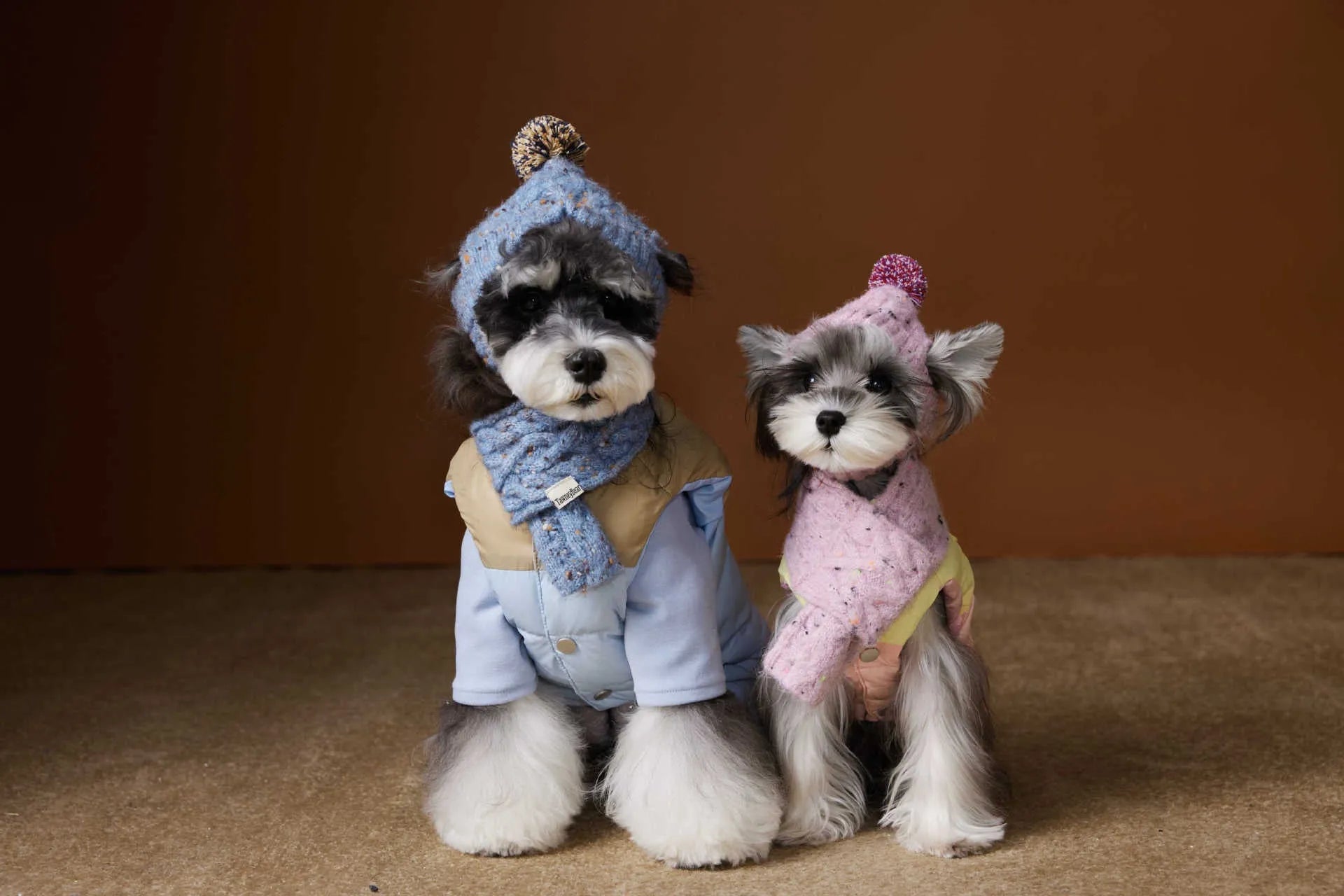 Blue polyester dog vest for small breeds like Teddy Schnauzer Bichon autumn winter wear