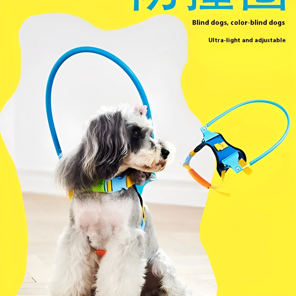 Blue adjustable anti-collision ring for visually impaired dogs, shown in various sizes
