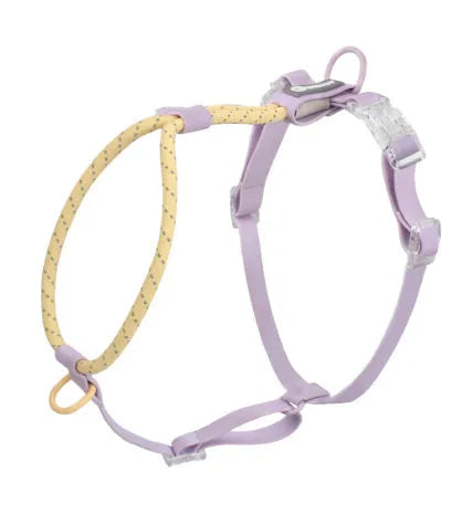 Dark Red Purple Yellow PVC dog leash held in a hand, showing the 120cm length and hand loop
