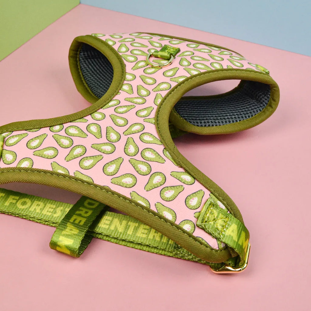 Polyester chest-back dog haulage rope harness for medium and large breeds in multiple colour options