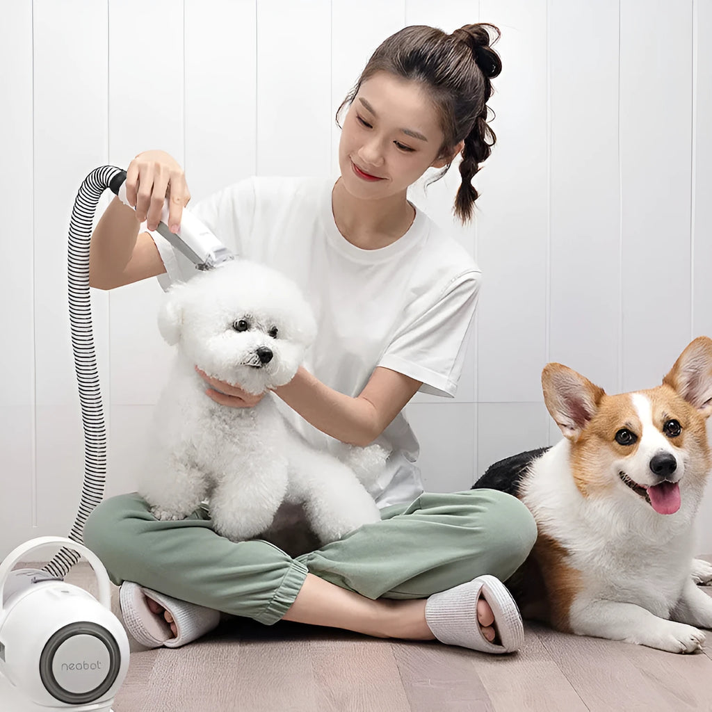 White and green pet grooming tool with vacuum suction, 9000Pa, 1000ml dust box, ABS body, 290x132x210mm