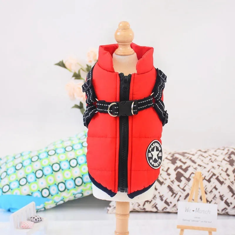 A red waterproof dog coat with an integrated harness on a Labrador retriever.