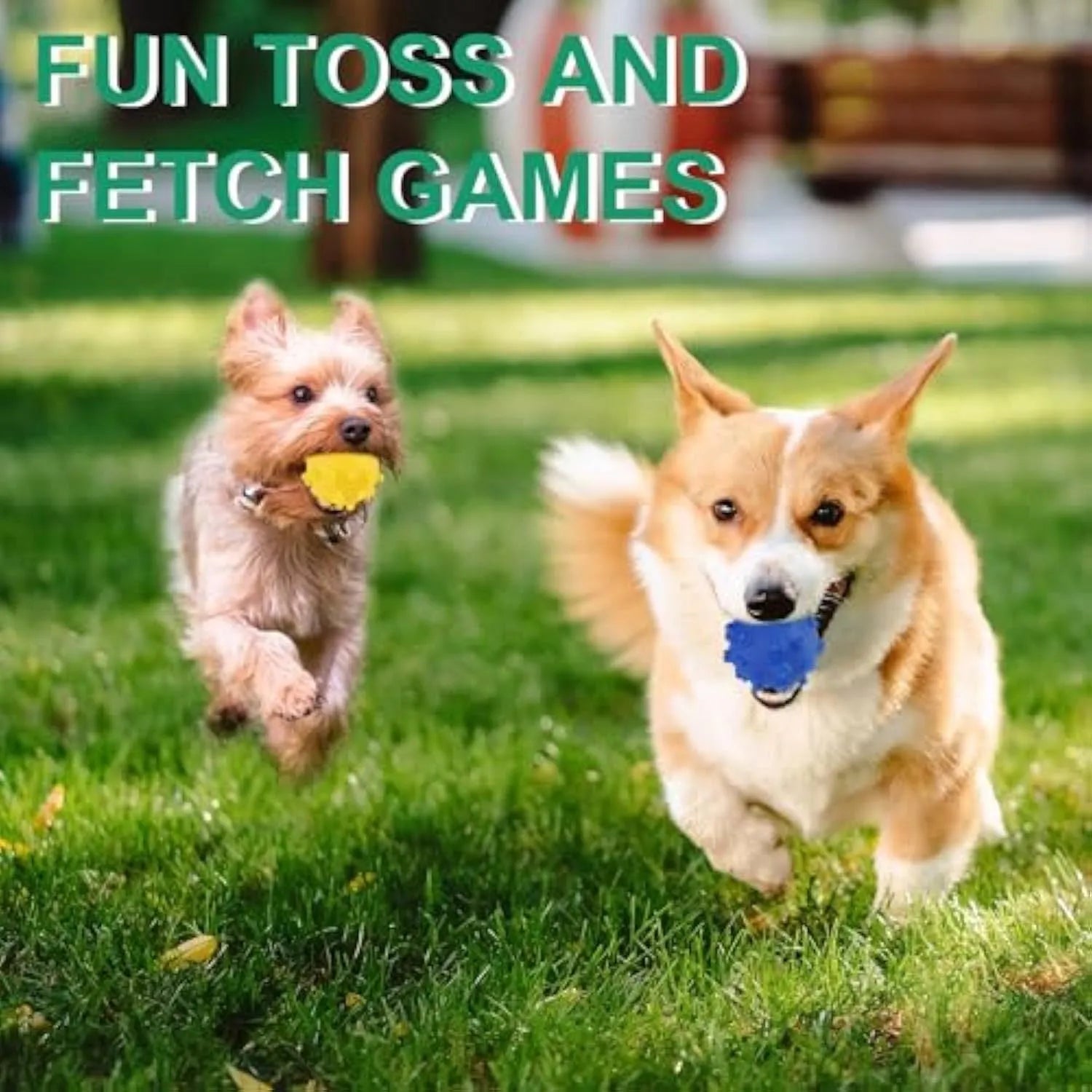 Bright blue, green, pink, and yellow spiked squeaky dog toy balls on a grass lawn.