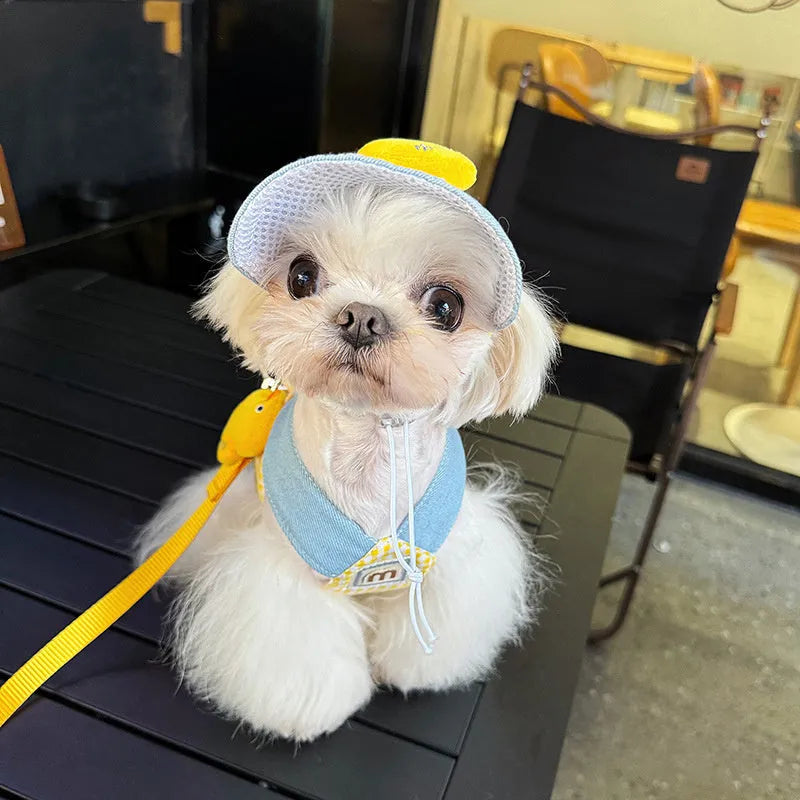 Three-piece pet harness and leash set with cute hat for cats and small dogs in spring summer colors