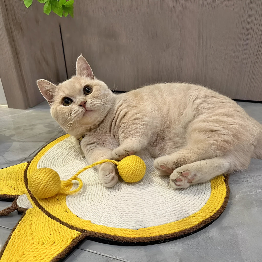Yellow Corgi design sisal cat scratching board with anti-slip base, shown with adhesive hooks