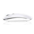 Wireless Bluetooth mouse with rechargeable battery, 1600 DPI optical sensor, compatible with Apple iPad and laptop