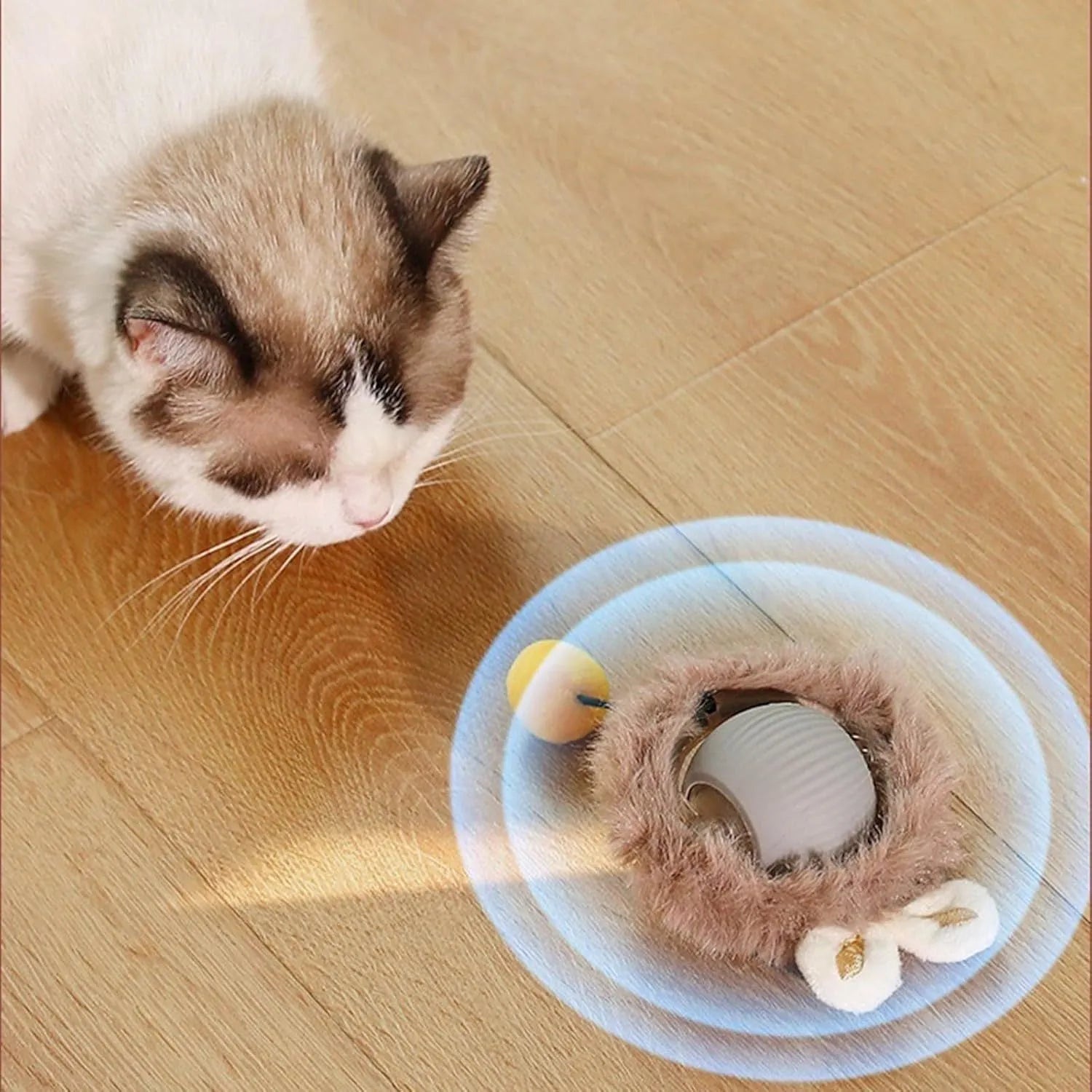 Automatic rolling ball pet toy in grey, green or red colours with attached string for interactive play