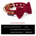 Dog bowknot collar and hand holding rope set in cream green