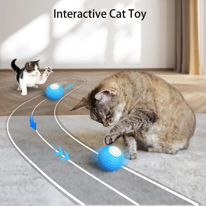 Remote control cat toy ball in blue, green, and yellow colours with wireless controller